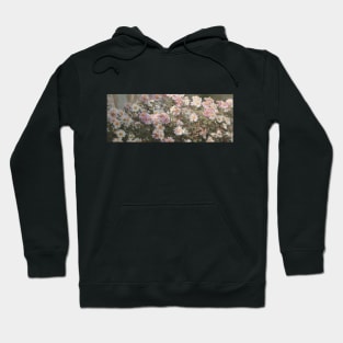 Daisy Pink and White Hoodie